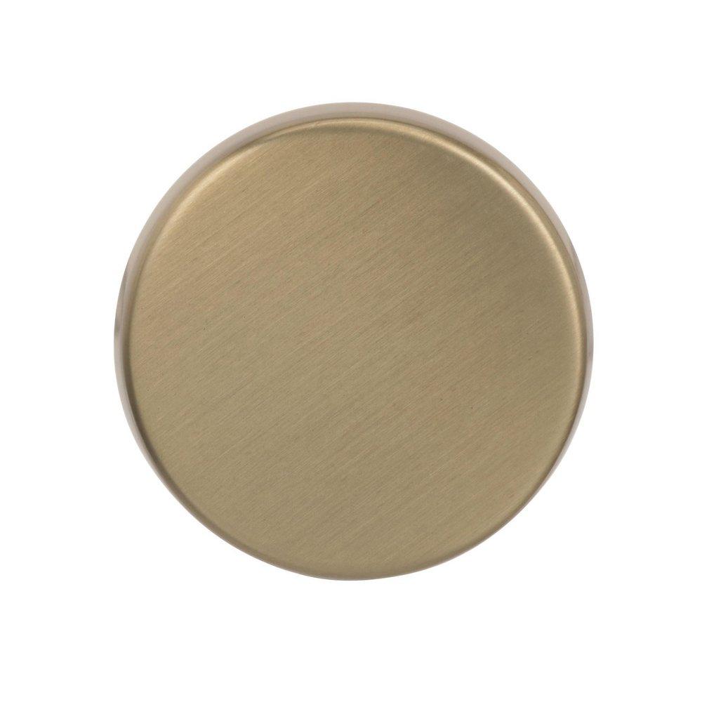 Amerock Golden Champagne Blackrock 1-5/8 in (44 mm) Diameter Black Bronze Cabinet Knob 