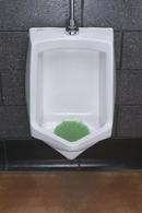 Fresh Products Green 8 x 7-1/4 x 1 in. EVA Cucumber Melon Urinal Screen in Green 
