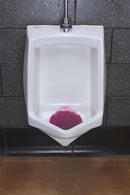 Fresh Products Red 8 x 7-1/4 x 1 in. EVA Apple Scent Urinal Screen in Red 
