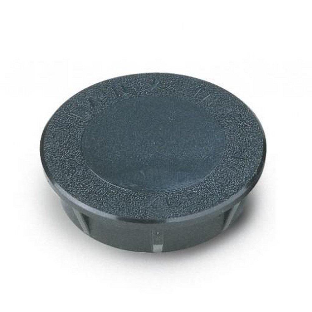 Rain Bird Spray Head Cap 