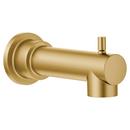 Tub Spout in Brushed Gold