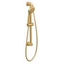 Moen Brushed Gold Single Function Hand Shower 