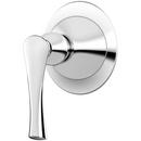 Trim in Polished Chrome