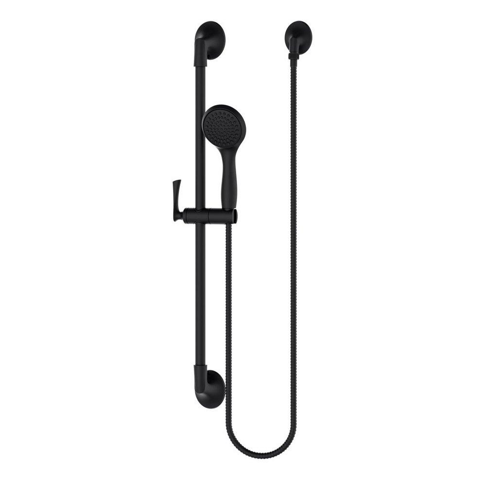Pfister Matte Black Single Function Hand Shower 