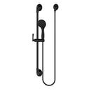 Pfister Matte Black Single Function Hand Shower 