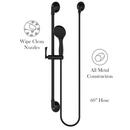 Pfister Polished Chrome Single Function Hand Shower 