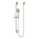 Pfister Brushed Nickel Single Function Hand Shower 
