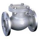 1 in. 150# RF FLG CF8M T10 Swing Check Valve PTFE Cover Gasket, API 603, Stainless Steel 316 Body, Trim 10, Bolted Cover