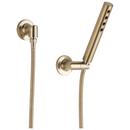 Single Function Hand Shower in Luxe Gold