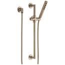 Single Function Hand Shower in Luxe Gold