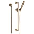 Brizo Luxe Gold Single Function Hand Shower 