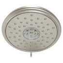 Multi Drench,Jet,Massage and Sensitive Showerhead in Brushed Nickel