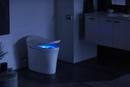 KOHLER White 1.28 gpf Elongated Floor Mount One Piece Toilet 