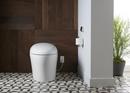KOHLER White 1.08 gpf Elongated One Piece Toilet 