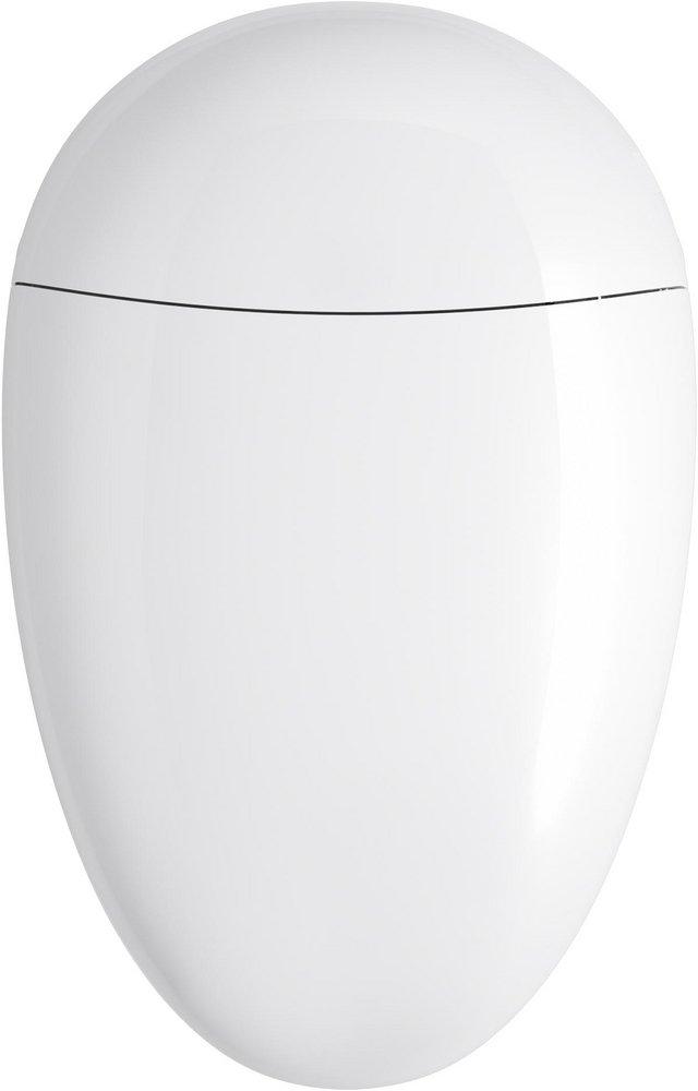 KOHLER White 1.08 gpf Elongated One Piece Toilet 