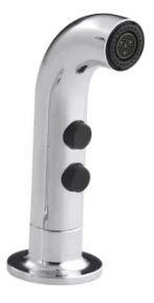 KOHLER Polished Chrome Spray 