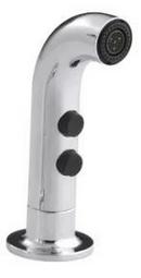 KOHLER Polished Chrome Spray 