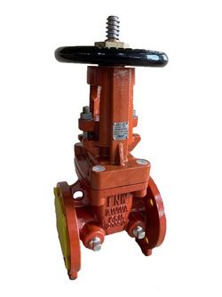 2-1/2 in. Ductile Iron Flanged Gate Valve