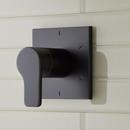 Single Handle Diverter Valve Trim in Matte Black