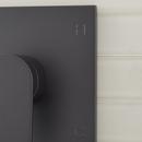 Signature Hardware Matte Black Single Handle Dual Function Bathtub & Shower Faucet (Trim Only) 