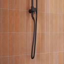 Signature Hardware Matte Black 60 in. Hand Shower Hose 