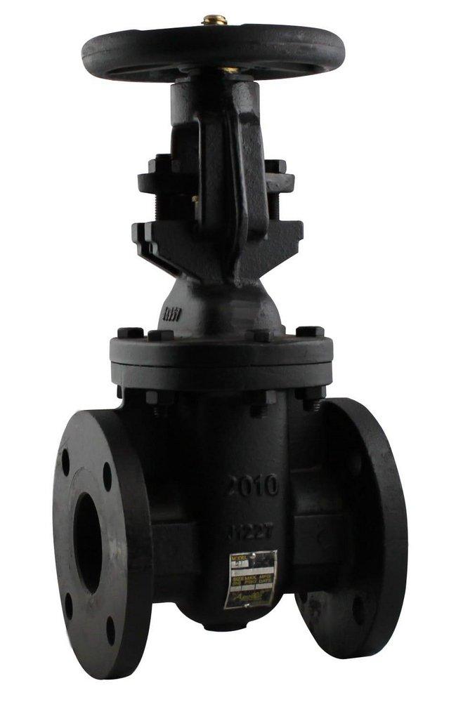 Apollo Valves Cast Iron Full Port Flanged Gate Valve 