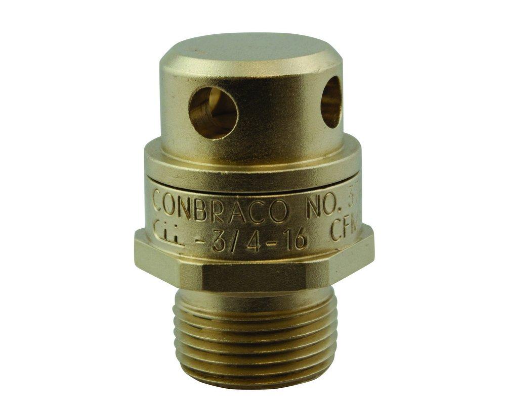 Apollo Valves Satin Brass Threaded Brass 200 psig Air Release & Vacuum Valve 