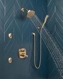 Delta Faucet Brilliance&reg; Champagne Bronze Multi Function Showerhead 
