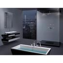 Delta Faucet Matte Black Single Function Body Spray 