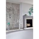 Delta Faucet Matte Black Single Function Body Spray 