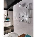Delta Faucet Matte Black Single Function Body Spray 