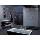 Delta Faucet Matte Black Single Function Body Spray 