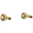 Brass Tub Filler Union in Brilliance® Luxe Gold®