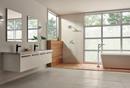 Delta Faucet Matte Black Two Handle Multi Function Shower Faucet (Trim Only) 