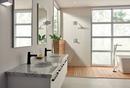 Delta Faucet Matte Black Two Handle Multi Function Shower Faucet (Trim Only) 