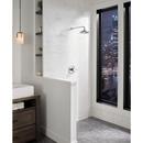 Delta Faucet Matte Black 1/2 x 16 in. NPT x MIPS Brass Shower Arm 