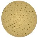 Single Function Showerhead in Brushed Gold