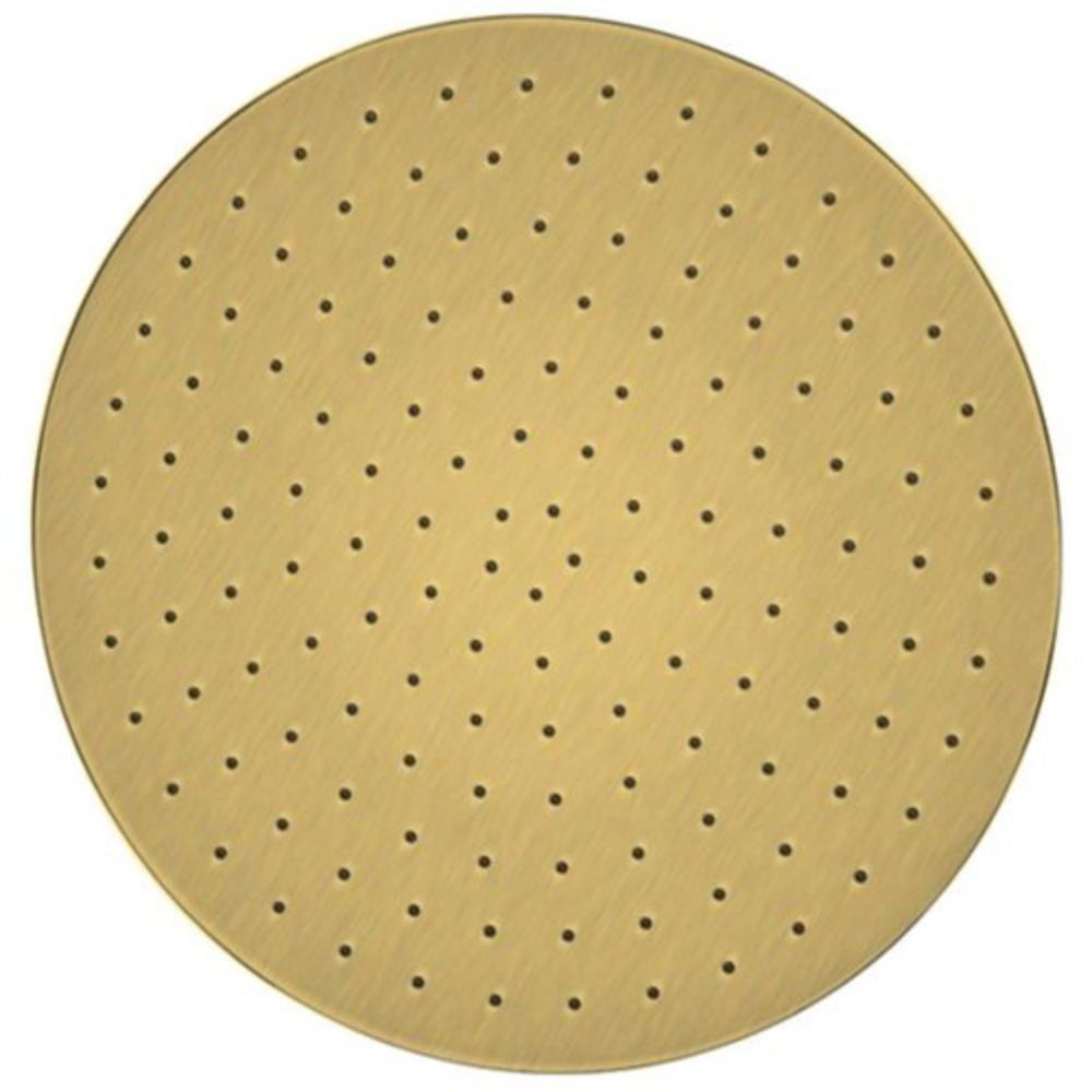 Fortis Brushed Gold Single Function Raincan Showerhead 