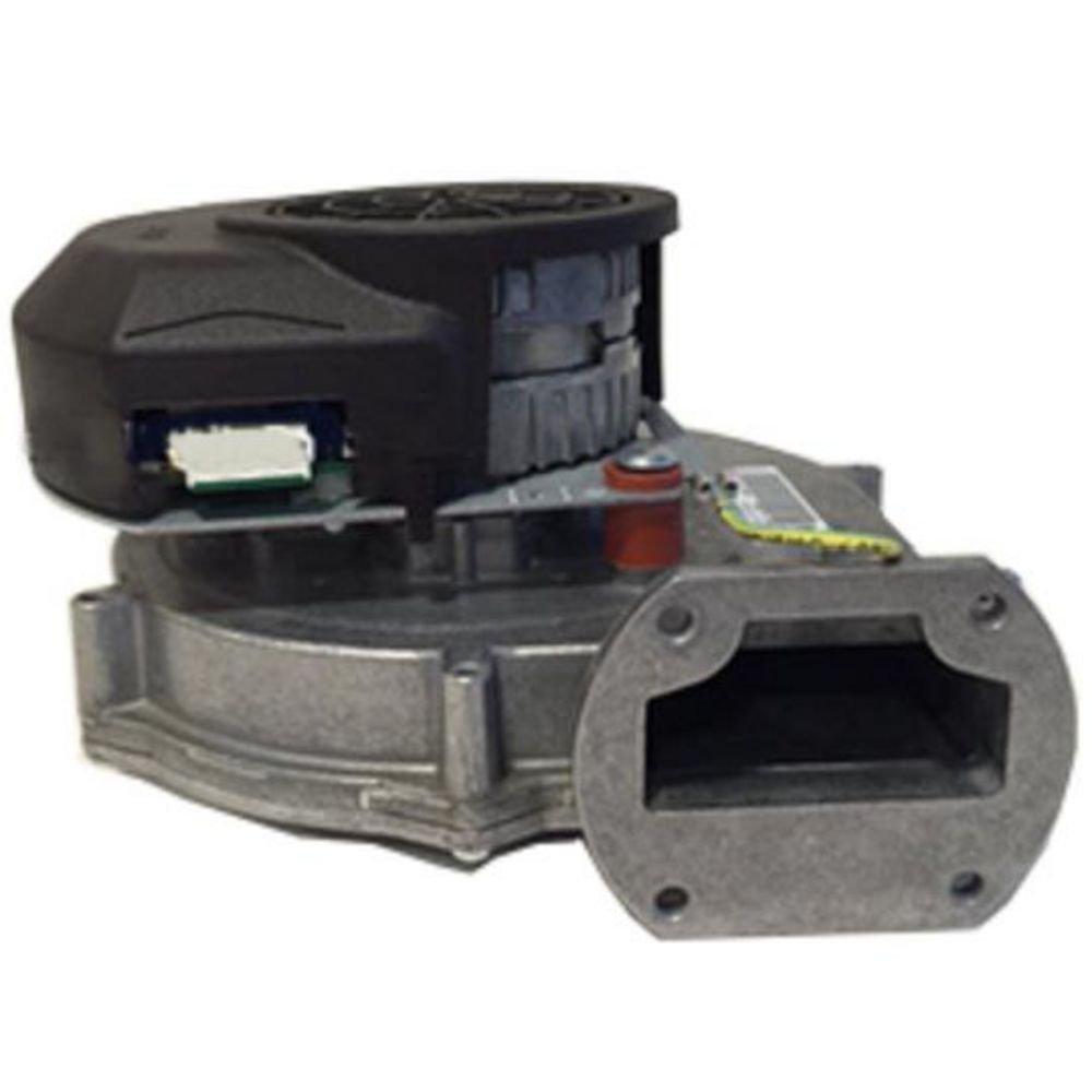 Bradford White Blower with Gasket 