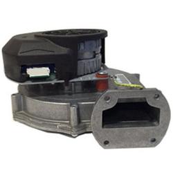 Blower Assembly with Gasket