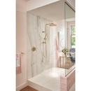 Brizo Luxe Gold 1-Hook Robe Hook 