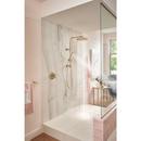 Brizo Luxe Gold 1-Hook Robe Hook 