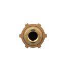 Zurn Wilkins Cast Bronze Cast Bronze FNPT 175 psi Backflow Preventer 