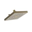 Multi Function Showerhead in Satin Bronze - PVD