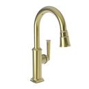 Newport Brass Uncoated Polished Brass - Living Single Handle Lever Bar Faucet 