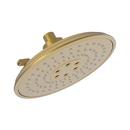 Newport Brass Satin Gold - PVD Multi Stream,Luxnetic Wave and Pause Showerhead 