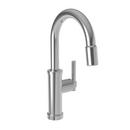 Newport Brass Polished Chrome Single Handle Lever Bar Faucet 