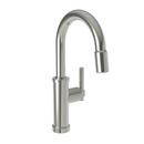 Newport Brass Polished Nickel - Natural Single Handle Lever Bar Faucet 