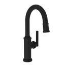 Newport Brass Flat Black Single Handle Lever Bar Faucet 