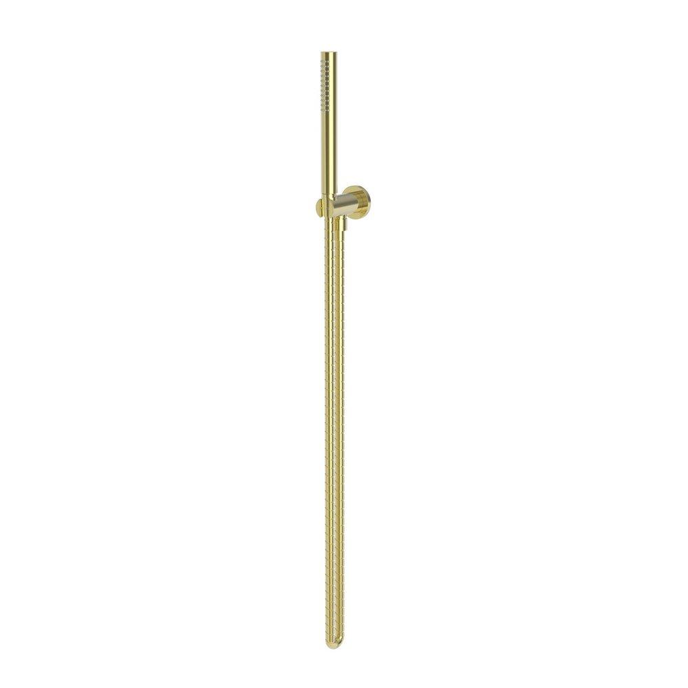 Newport Brass Forever Brass - PVD Single Function Hand Shower 